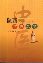 陕西中医纵览