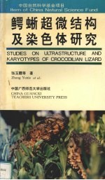 鳄蜥超微结构及染色体研究