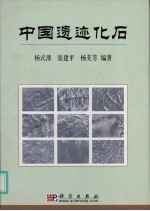 中国遗迹化石