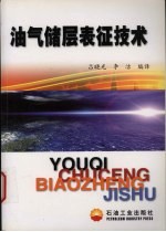 油气储层表征技术