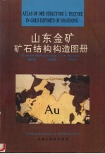 山东金矿矿石结构构造图册