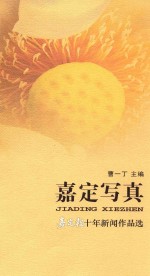 嘉定写真 嘉定报十年新闻作品选