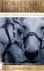 Horses like lightning : a story of passage through the Himalayas