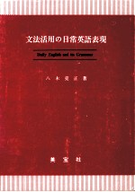 文法活用の日常英語表現