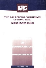 Sub-committee on guardianship and custody: consultation paper