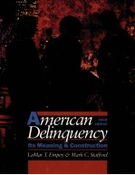 American delinquency : its meaning & construction
