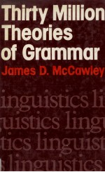 THIRTY MILLION THEORIES OF GRAMMAR