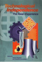 Technological independence:The Asiam experience