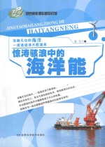 惊涛骇浪中的海洋能