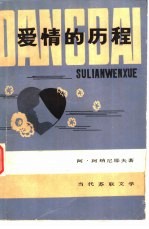 爱情的历程