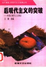 后现代主义的突破 外国后现代主义理论