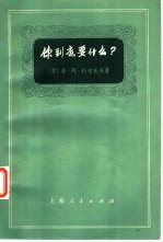 你到底要什么