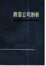 跨国公司剖析