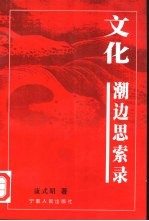 文化:潮边思索录