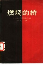 燃烧的桥 五幕八场话剧