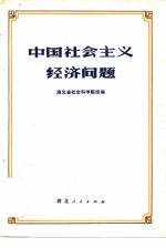 中国社会主义经济问题