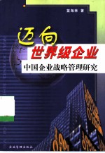 迈向世界级企业 中国企业战略管理研究
