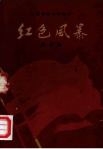 江西革命斗争故事 红色风暴 第3集