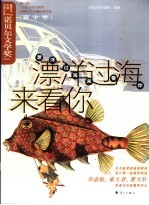 错过的那一季 高中卷