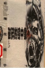 破碎的镜中像:后现代哲学
