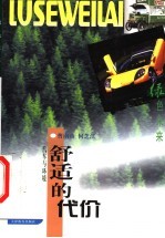 舒适的代价 汽车与环境