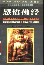 清净菩提 佛教哲学