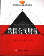 跨国公司财务
