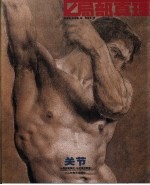 局部真理 关节