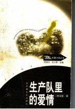 生产队里的爱情
