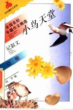 小鸟天堂 动物