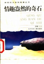 情趣盎然的奇石