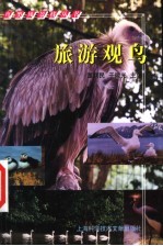 旅游观鸟