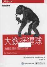 大数据猩球 海量数据处理实践指南
