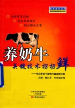 养奶牛关键技术招招鲜 常见养奶牛疑难问题破解方案