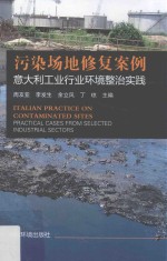 污染场地修复案例 意大利工业行业环境整治实践