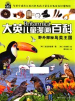 野外探秘鸟类世界
