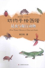 动物手绘图谱 昆虫与爬行动物