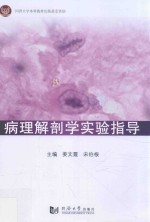 病理解剖学实验指导