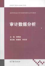 审计数据分析