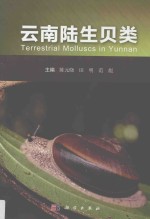 云南陆生贝类