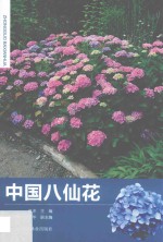 中国八仙花
