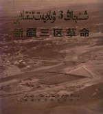 新疆三区革命