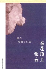 在屋顶上牧云 路内短篇小说选