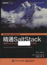精通SaltStack