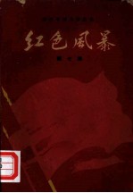 江西革命斗争故事 红色风暴 第7集