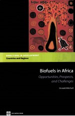 BIOFUELS IN AFRICA OPPORTUNITIES,PROSPECTS,AND CHALLENGES