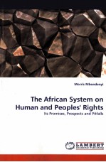 THE AFRICAN SYSTEM ON HUMAN AND PEOPLES’RIGHTS ITS PROMISES，PROSPECTS AND PITFALLS