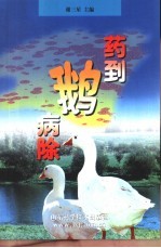 药到鹅病除
