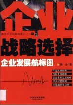 企业战略选择 企业发展航标图