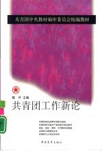 共青团工作新论